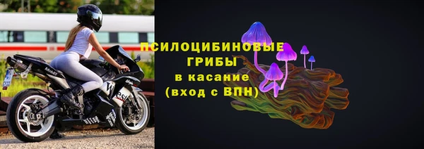 спиды Алексеевка