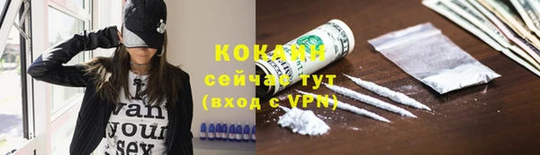 твердый Алексин
