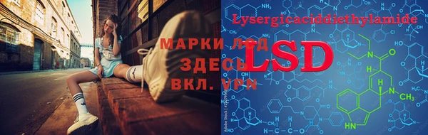 гидра Алзамай