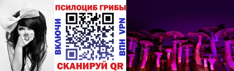 Галлюциногенные грибы Psilocybine cubensis  Архангельск 