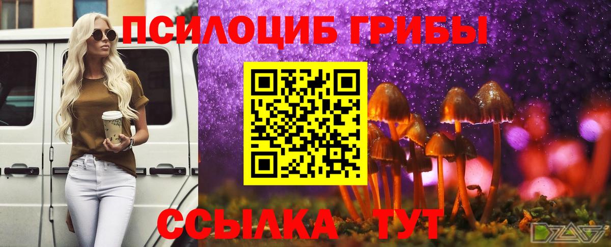 Псилоцибиновые грибы прущие грибы  Вход с VPN  Архангельск 